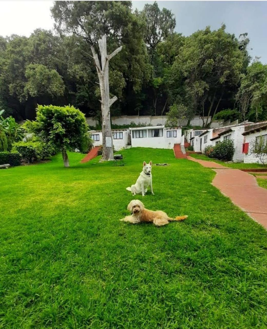 Club Santa Maria Otel Cuernavaca Dış mekan fotoğraf