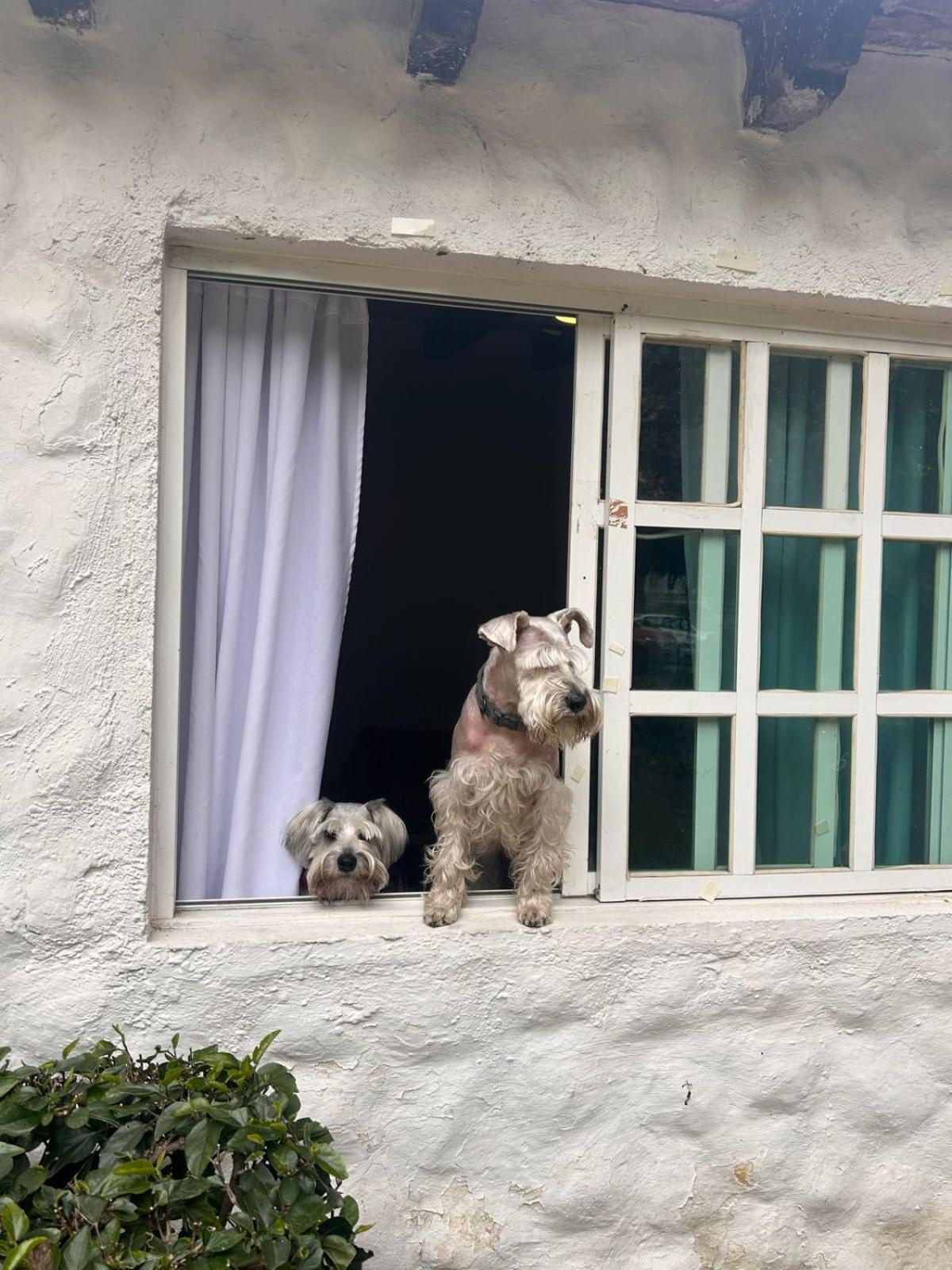 Club Santa Maria Otel Cuernavaca Dış mekan fotoğraf